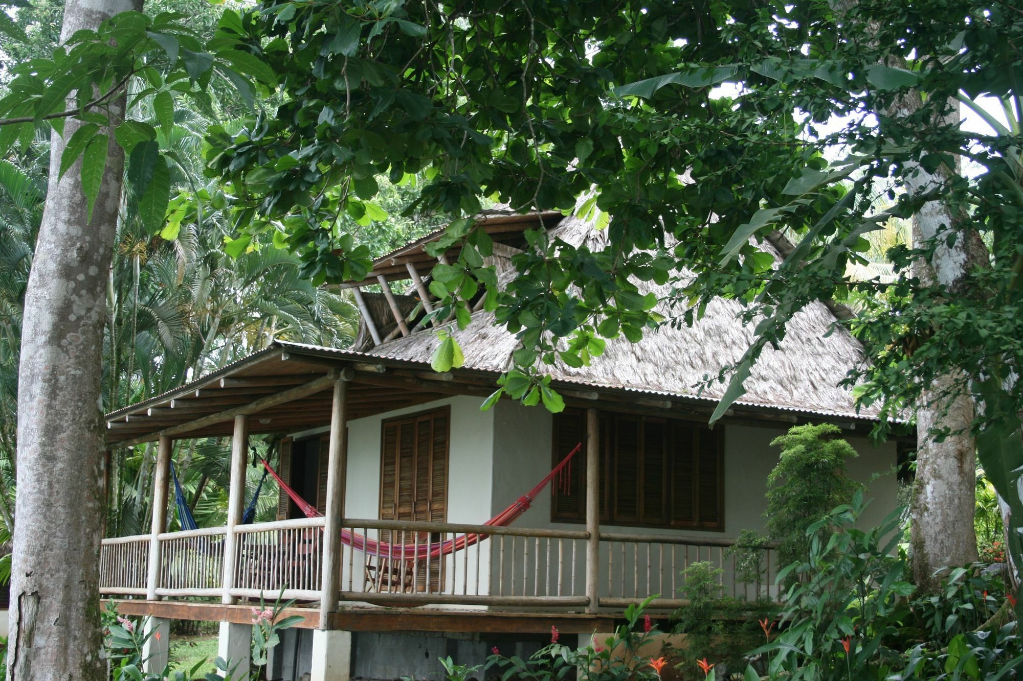 Bosque Del Cabo Rain Forest Lodge Puerto Jiménez Esterno foto